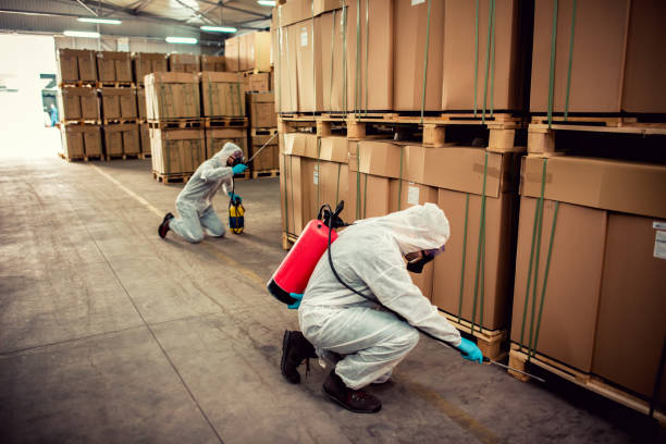 Best Residential Pest Control  in New Brighton, PA