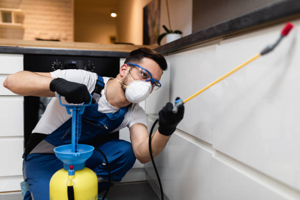 Best Affordable Pest Control Services  in New Brighton, PA