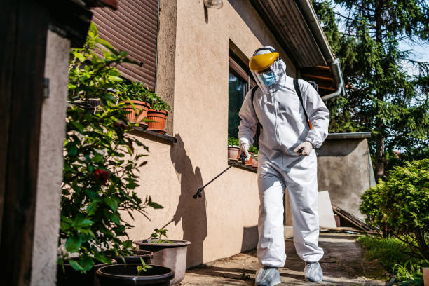 Best Termite Control Services  in New Brighton, PA