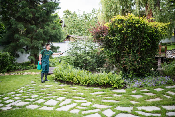 Best Commercial Pest Control Services  in New Brighton, PA