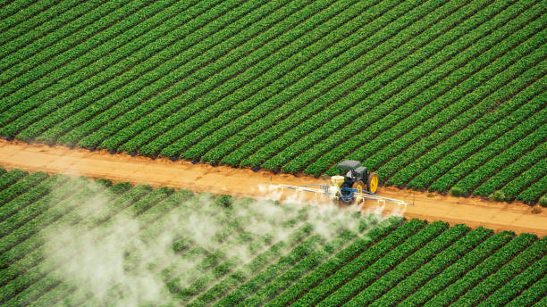 Best Pest Control for Businesses  in New Brighton, PA