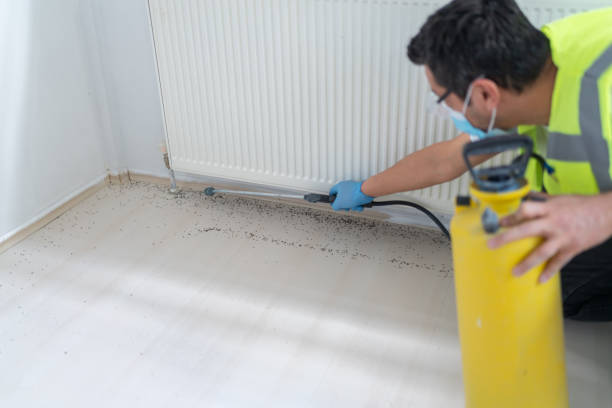 Best Best Pest Control Companies  in New Brighton, PA